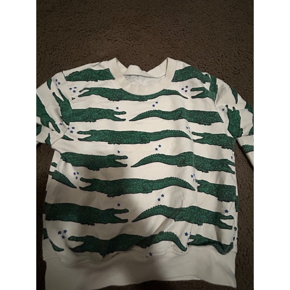 Pink Chicken Kids Alligator Star Print Pullover Sweatshirt Cream Green Size 5Y - Picture 3 of 7